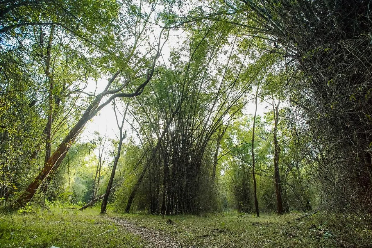 Crystal Kuruva Nature Resort & Spa Wayanad India