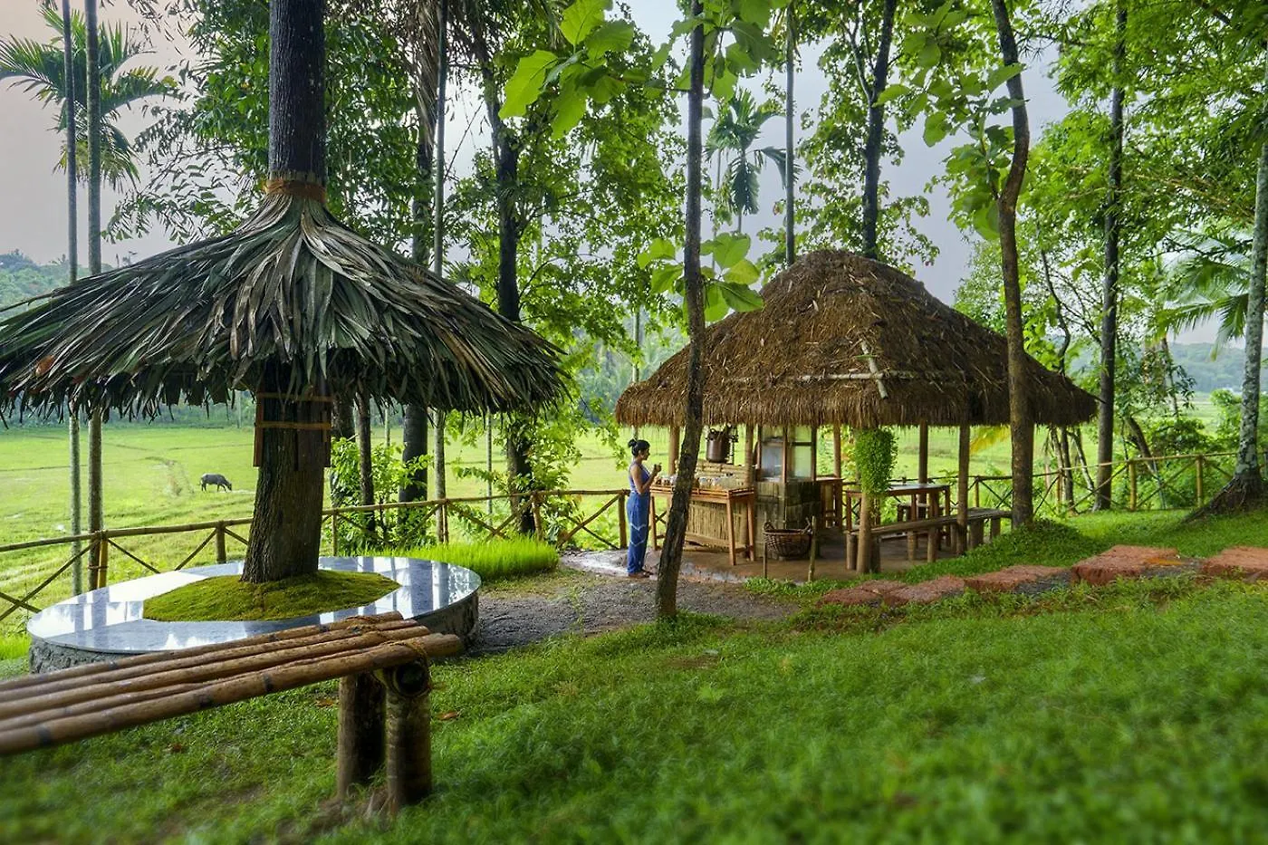 Crystal Kuruva Nature Resort & Spa Wayanad