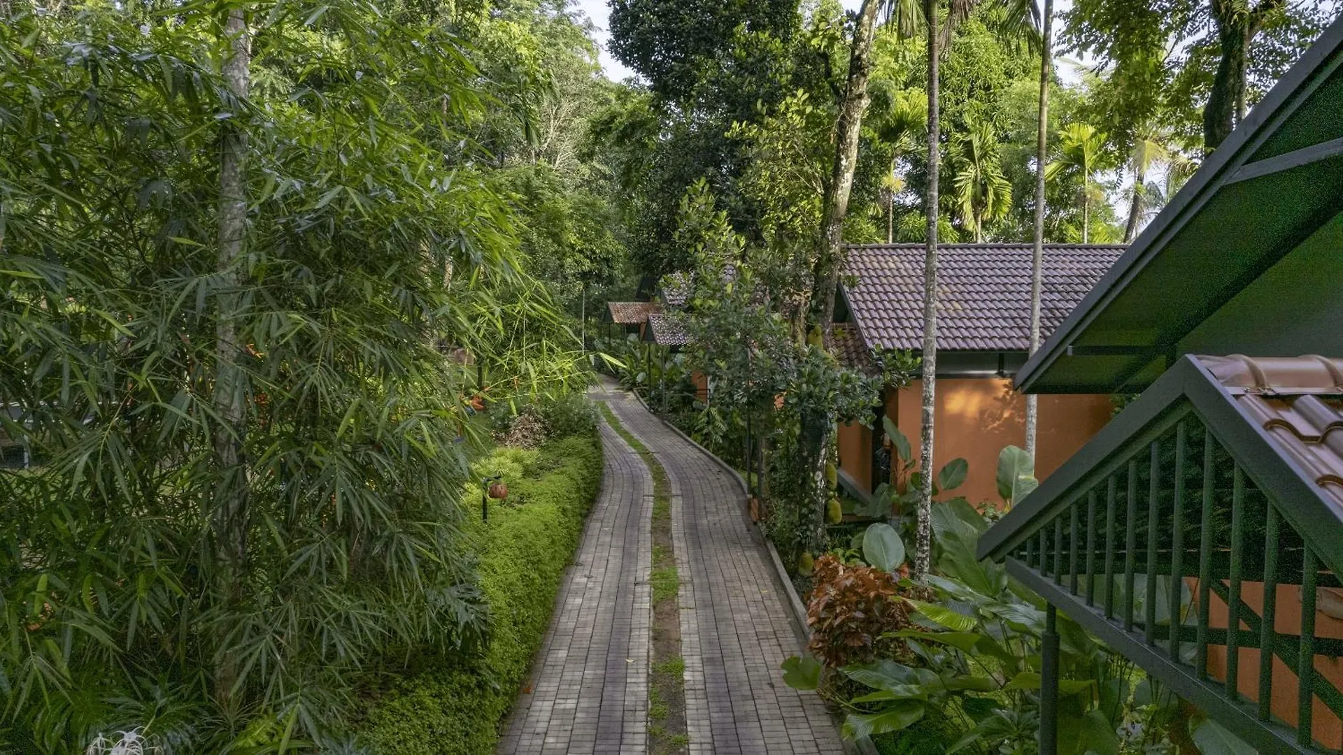 Crystal Kuruva Nature Resort & Spa Wayanad