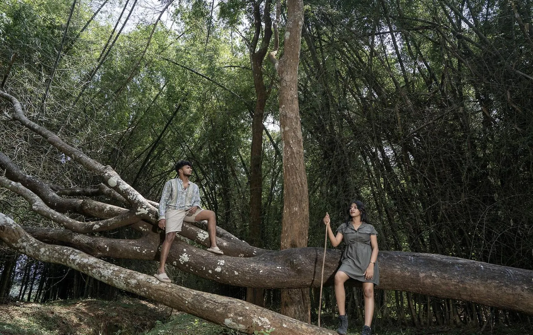 Crystal Kuruva Nature Resort & Spa Wayanad