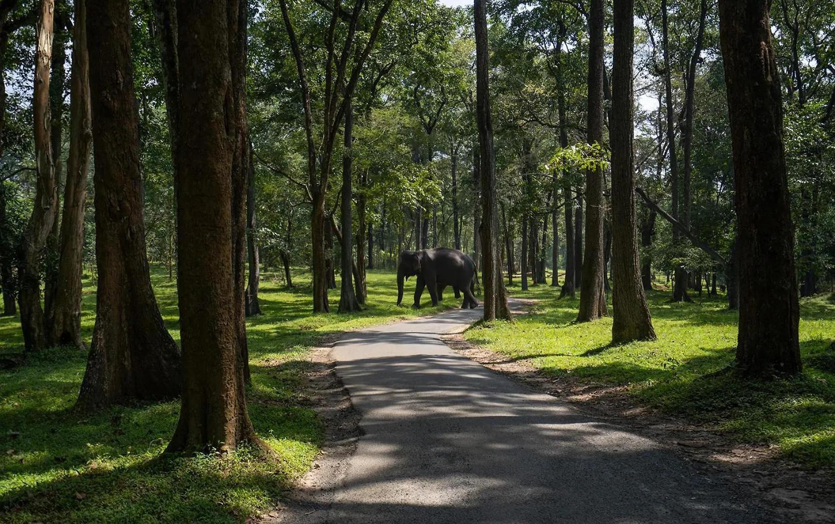 Crystal Kuruva Nature Resort & Spa Wayanad India